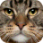 Jigsaw Puzzle Cats icon