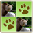 Wild Animals Memory Game icon