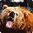 Wild Bear Simulator version 1.0