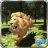 Wild Lion Jungle Simulator icon