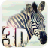 Zebra Simulator 3D Wildlife icon