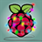 Raspberry Pi version 1.1