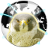 Falcon Browser icon