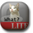 Talkicat icon