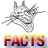 Cat Facts Autotroller icon