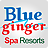 Blue Ginger Spa Resorts icon