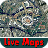 Live Maps Satellite View icon