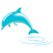 Dolphin APK Download