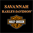 Savannah HD icon