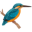 Kingfisher Tel icon
