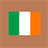 Irish Translator icon