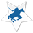 PoloStar icon