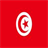 French-Tunisian Dictionary icon