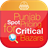 Critical Bazars icon