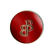 BloodBank icon
