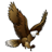 King-Bird icon