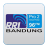 RRI Pro 2 FM icon
