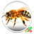 Real Bee Wallpapers icon