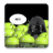 Droid Battlefront LWP icon