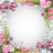 Love Flowers Photo Frames icon