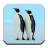 Wallpapers of Penguins icon
