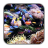 Descargar Tropical Aquarium Live Wallpaper