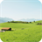 Fertile Pastures Love Wallpapers icon