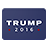 Trump US 2016 icon