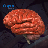 Human Brain 1.1