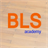 iBLS icon