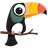 Toucan Chat icon