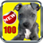 Dog Training Tips The Best 100 icon