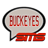 Buckeye Gameday icon