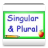 Singular&Plural Română icon