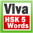 Viva HSK 5 icon