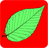 FP Tree ID Guide APK Download