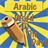 Arabic Words icon
