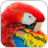 How To Draw Parrot Macaw icon