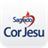 Cor Jesu icon