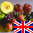 Learn Fruits in English icon