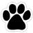 Dog Breed Flashcards icon