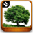 Trees Book icon