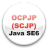 OCPJP Actual Demo version 1.3