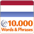 Learn Dutch Vocabulary Free icon