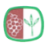 Cooperativa Santísimo Cristo de la Salud icon