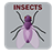 Descargar Insects