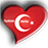 Turkish Verbs icon