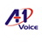 A1 Voice icon