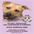 Pit Bull Advocates For Compassion and Kindness version 22.0