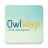 OwlWays Follower icon